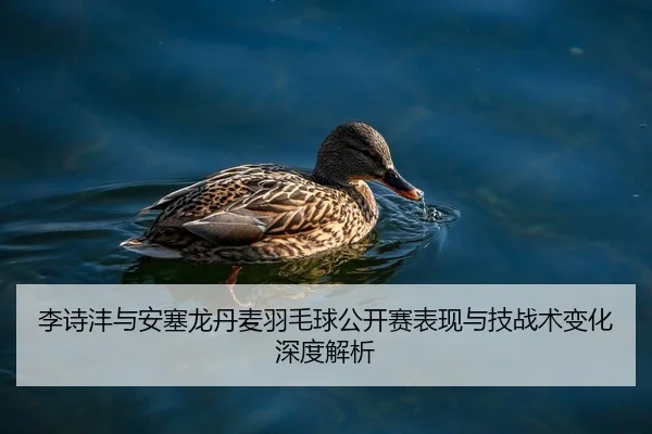 李诗沣与安塞龙丹麦羽毛球公开赛表现与技战术变化深度解析（imsports）